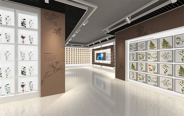 青海衛(wèi)生職業(yè)技術(shù)學(xué)院標本陳列館設(shè)計效果圖